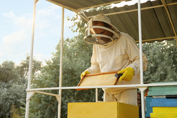 Beekeeper in uniform with honey frame at apiary - Foto, Imagen
