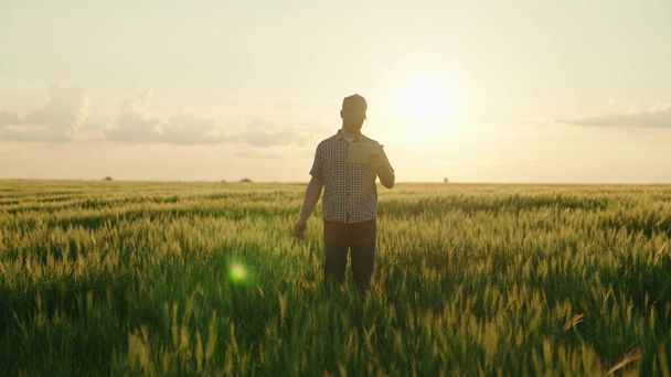 rolnictwo, rolnik z tabletem spaceruje po polu pszenicy w blasku słońca, rolnik pracuje na wsi o zachodzie słońca, produkuje chleb na plantacji, uprawia zieloną pszenicę - Zdjęcie, obraz