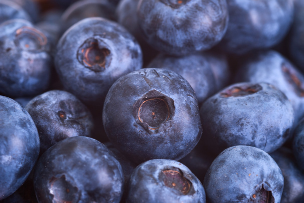 Blueberries - Photo, image