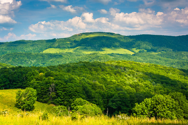 View of hills and mountains in the rural Potomac Highlands of We - Photo, image