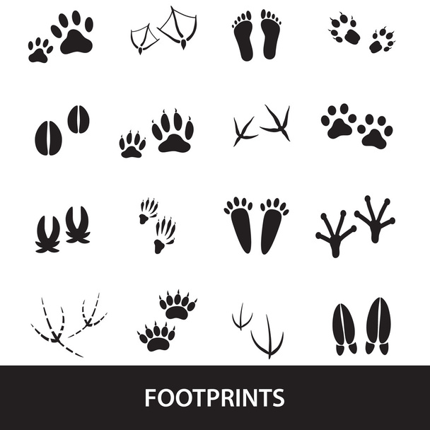 basic animal footprints set eps10 - Vector, Image