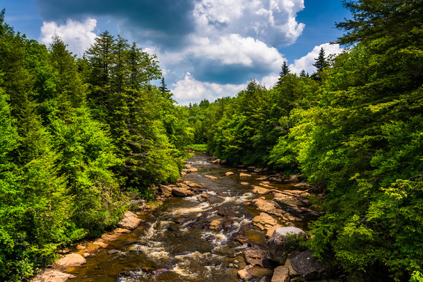 View of the Blackwater River from a bridge at Blackwater Falls S - Foto, afbeelding