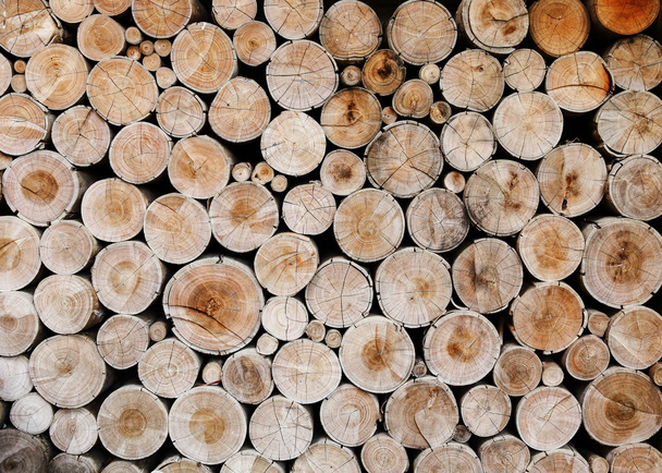 fa-rönköket az ipar számára - Fotó, kép