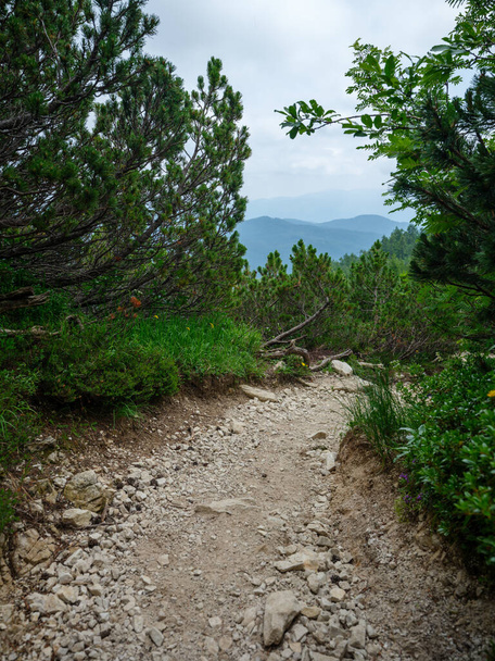 gravel hiking trails in Tatra mountains in Slovakia. green summer hills with mist and great scenery - Photo, Image