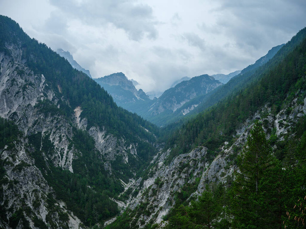 スロベニアの霧に覆われた山頂トリグラフ国立公園。岩や緑の草原のある夏の風景. - 写真・画像