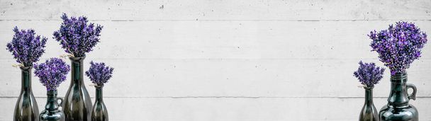Πολλά μπουκέτο βιολετί μωβ λεβάντα άνθη λεβάντας βότανα σε παλιά καφέ βάζα (μπουκάλι φαρμακείο), απομονώνονται σε λευκό γκρι τσιμεντένιο τοίχο texturbackground πανόραμα λευκό μακρύ, κοντινό - Φωτογραφία, εικόνα
