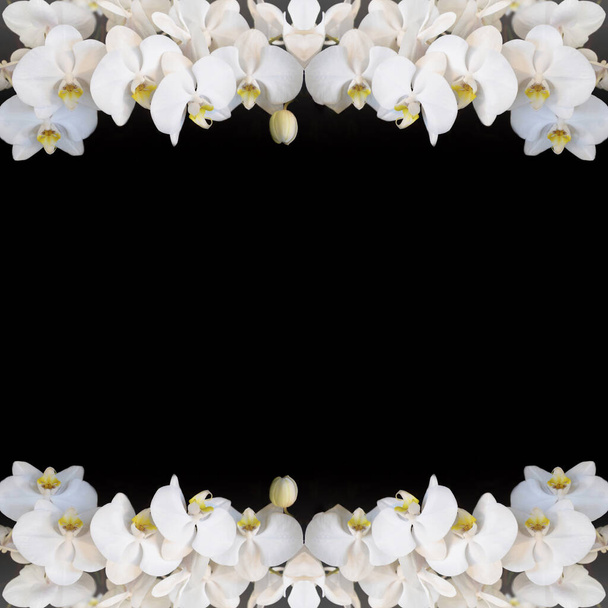 Frame made of beautiful white orchids isolated on black background - Photo, Image