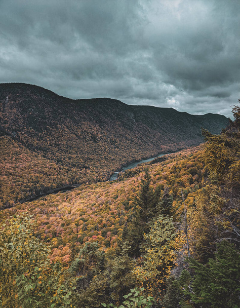 A vertical shot of a stormy sky and autumn scenery of a valley near Quebec City, Canada - Fotó, kép