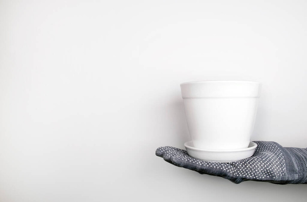 A gloved hand holds a white pot. Growing plants. Caring for the environment - Фото, зображення