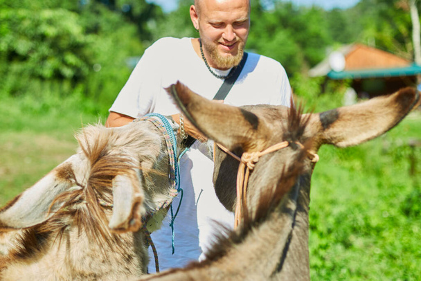 Man in contact farm zoo with donkeys in the countryside, a farm, Friendly Donkey in the paddock being social. - Valokuva, kuva