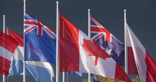 Banderas nacionales ondeando en el viento - Metraje, vídeo