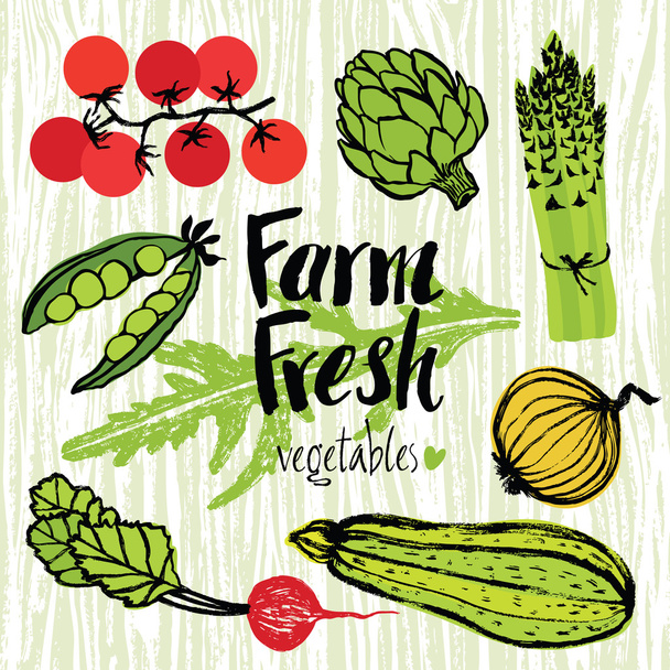 Farm fresh vegetables set - Vektori, kuva