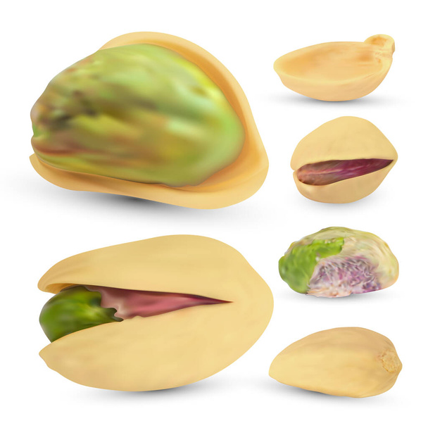 Set di pistacchi salati. Nucleo grezzo realistico isolato su sfondo bianco. - Vettoriali, immagini