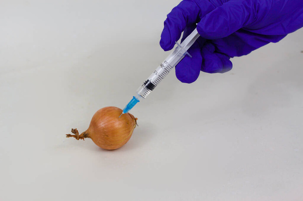 Visão de close-up de cebola injetada com a mão enluvada mantendo a seringa no fundo branco - Foto, Imagem