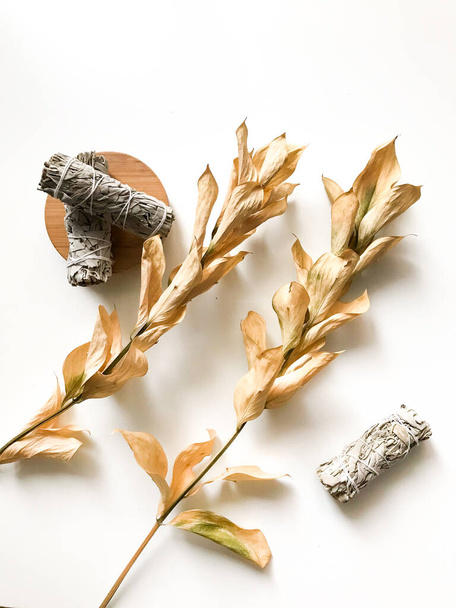 california white sage, beautiful layout and top view, incense and dried flowers on a white background - 写真・画像