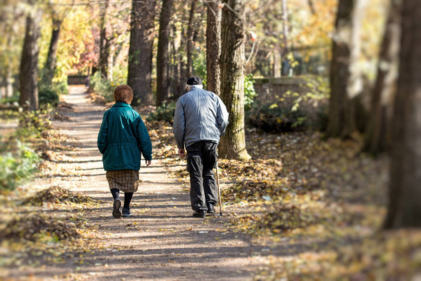 2人の年金受給者は公園を散歩し、美しい秋の日、退職年齢の概念で楽しむ - 写真・画像