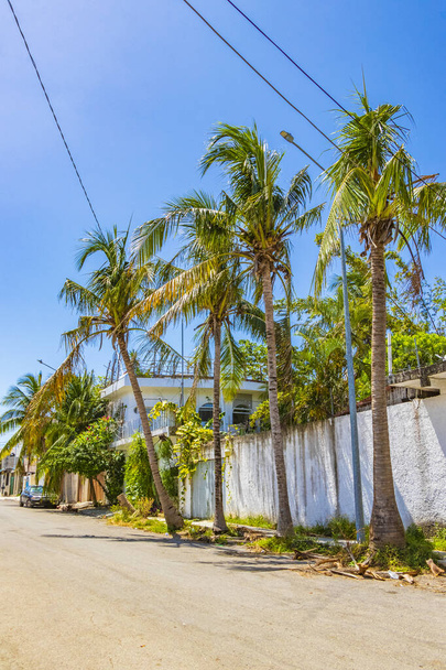 Playa del Carmen Mexico 28. May 2021 Typical street road and cityscape with cars and palm trees buildings of Luis Donaldo Colosio Playa del Carmen in Mexico. - 写真・画像