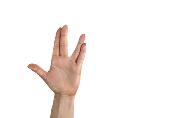 Ręka mężczyzny salutującego Wolkanom na białym tle. Wolkańska ręka salutuje. Ręka Spocka. Alfa. - Zdjęcie, obraz