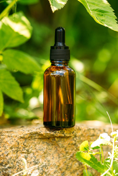 bottle of essential oil with green leaves on a wooden background - 写真・画像