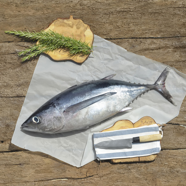 fehérhúsú hal Nemrégiben - Fotó, kép