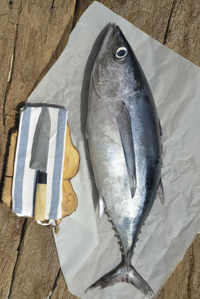 świeże ryby tuńczyk - Zdjęcie, obraz