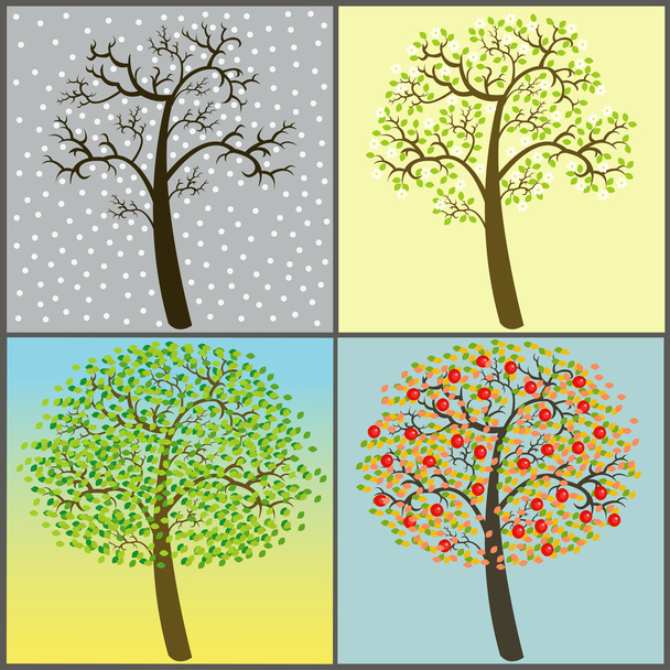 Sammlung von Bäumen - vier Jahreszeiten - Vektor, Bild