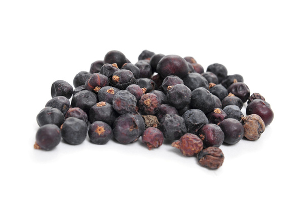 juniper berries - Photo, Image