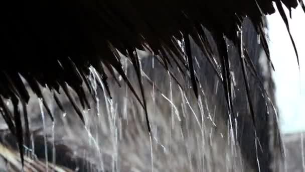 Regentropfen fallen vom Dach - Filmmaterial, Video