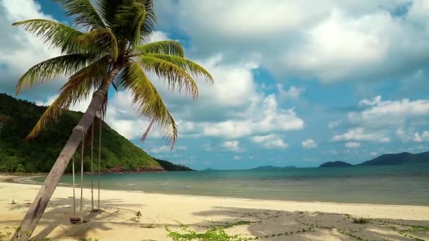 海と椰子の木の美しい景色 - 映像、動画