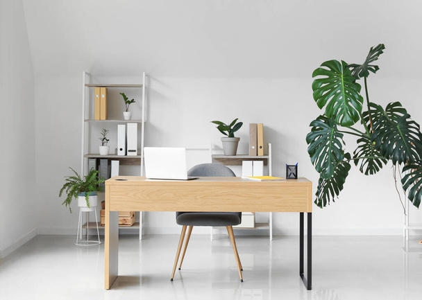Εσωτερικό γραφείο με σύγχρονο χώρο εργασίας, ραφιέρα και φυτά εσωτερικού χώρου - Φωτογραφία, εικόνα