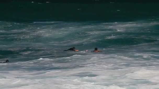 1080p, Bodyboarding an hawaiis Stränden - Filmmaterial, Video