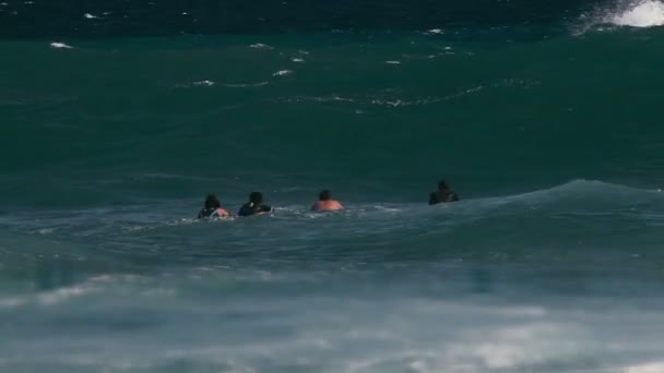 1080p, Bodyboarding an hawaiis Stränden - Filmmaterial, Video