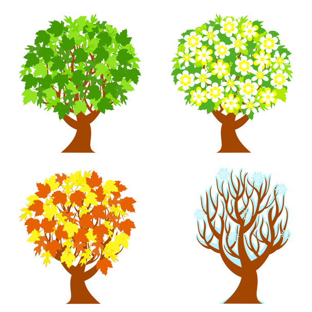 Vector illustration of the four seasons trees isolated on white background. - Vector, Image