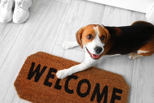 Lindo perro Beagle tirado cerca de la alfombra de la puerta en el suelo - Foto, Imagen