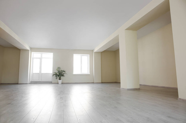 Widok dużego pustego biura z rośliną domową - Zdjęcie, obraz
