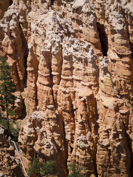 BryceCanyon se distingue par ses structures géologiques, appelées hoodoos, formées à partir du vent, de l'eau et de l'érosion glaciaire de la rivière et des roches sédimentaires du lit du lac ce sont des roches étranges et souvent fantaisistes
 - Photo, image