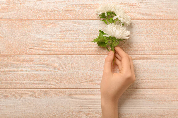 Female hand with beautiful aster flowers on light wooden background, closeup - Φωτογραφία, εικόνα