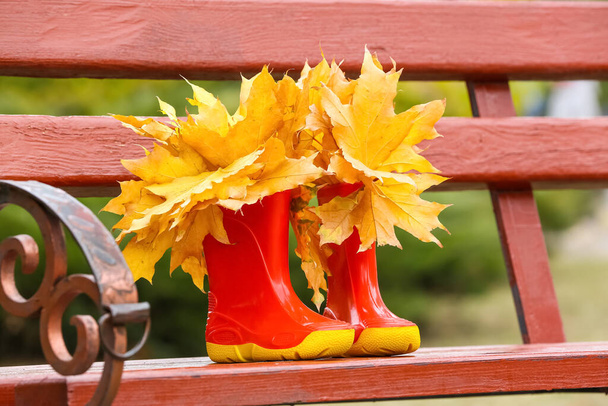 Paire de bottes en caoutchouc avec feuilles d'automne sur banc, gros plan - Photo, image