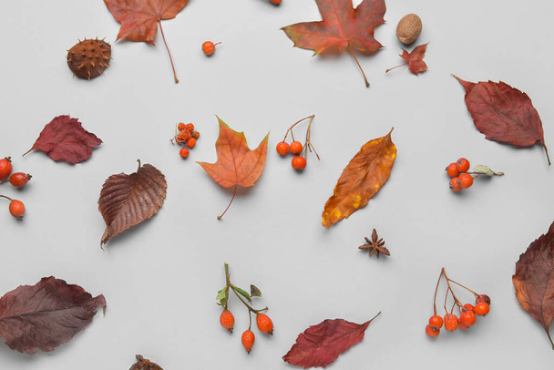Composición otoñal con hojas y bayas sobre fondo claro - Foto, Imagen