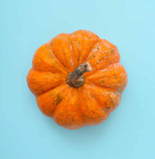 Ripe beautiful pumpkin on blue background - Fotografie, Obrázek
