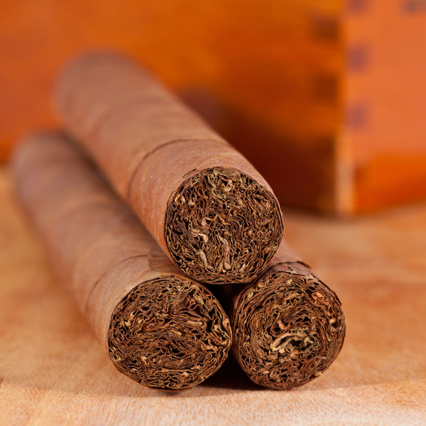 Genuine Cuban cigars - Photo, Image