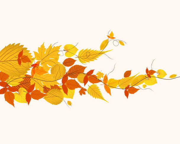 Осенние листья - Вектор,изображение