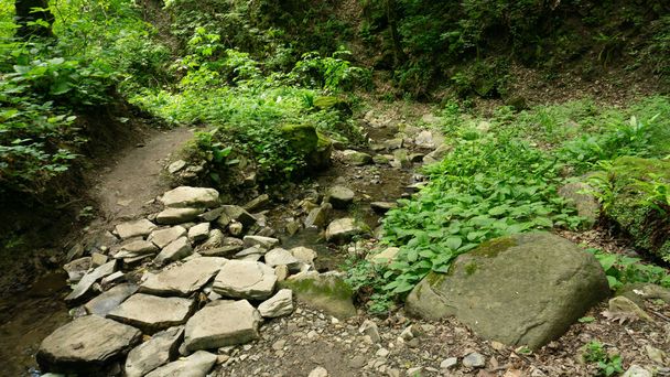 Górska rzeka wśród dużych kamieni w zielonym lesie. Soczi, Lazarevskoe, Berendeevo Carstvo, Rosja - Zdjęcie, obraz