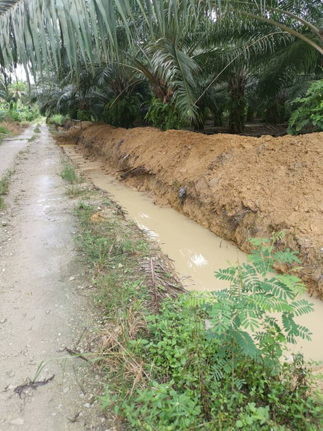 drainage creusé le long de la route rurale. - Photo, image