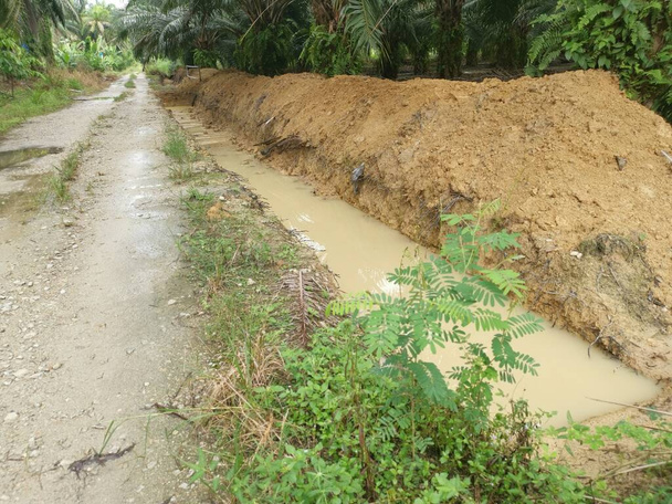 drainage creusé le long de la route rurale. - Photo, image