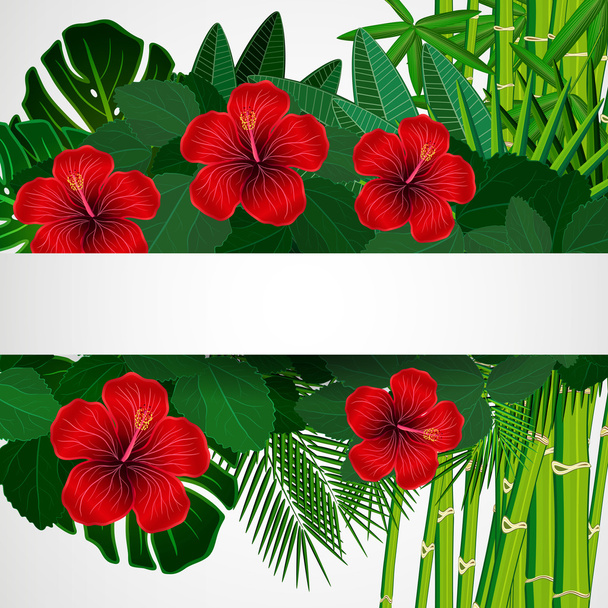 Tropical floral design background. - Vektor, obrázek