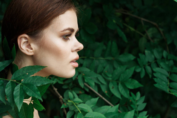 美しい女性の皮膚ケア裸の肩緑の葉自然モデル - 写真・画像