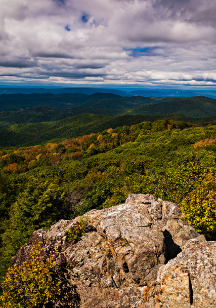 Early autumn view of the Blue Ridge Mountains from Bearfence Mou - Foto, immagini