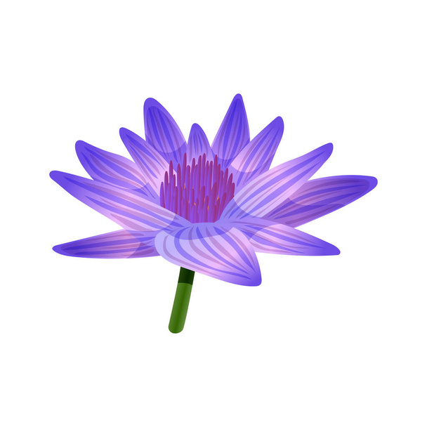 Kék Lótusz Virág összetétel - Vektor, kép