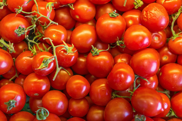 fresh tomatoes group - Photo, Image